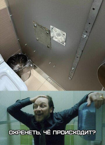Дички в ночь.