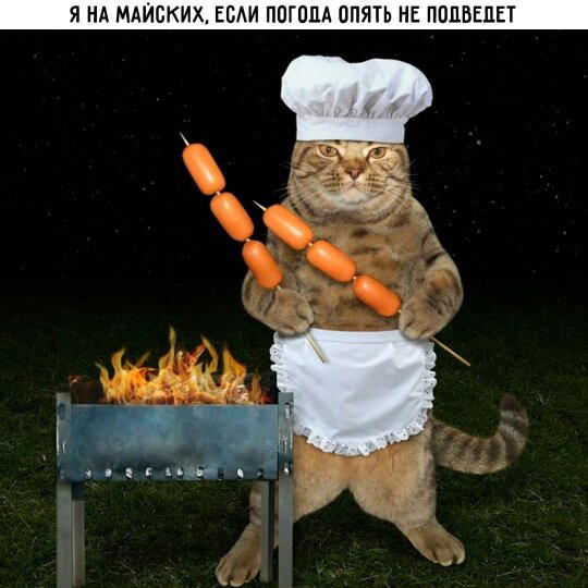 Дички в ночь.