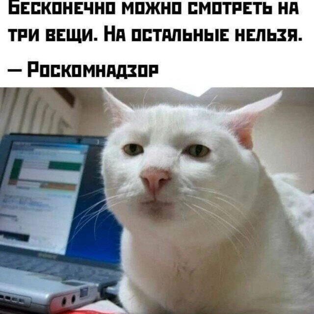 Дички в ночь.