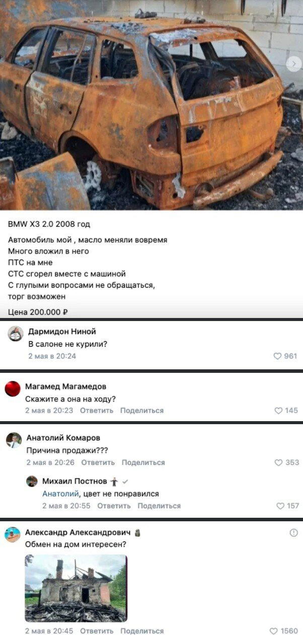 Дички в ночь.