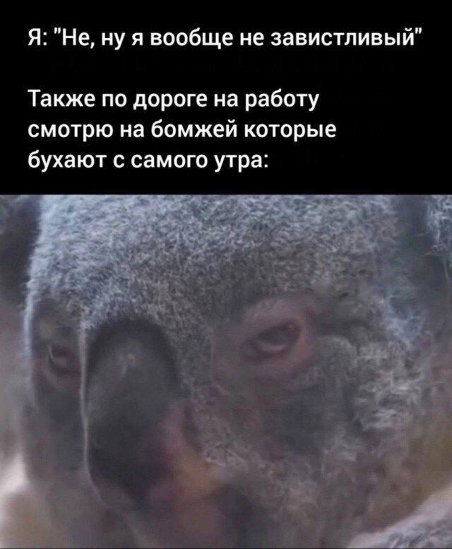 Дички в ночь.