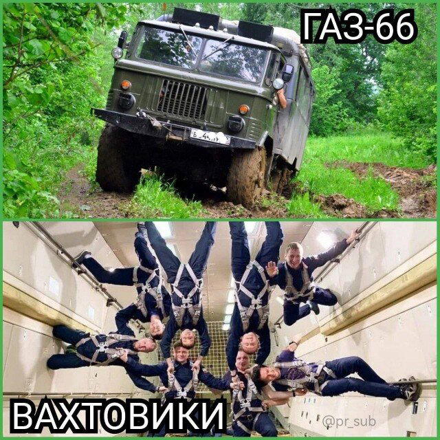 Дички в ночь.
