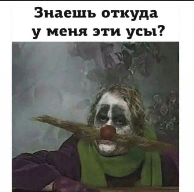 Дички в ночь.