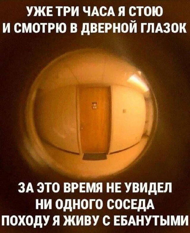 Дички в ночь.