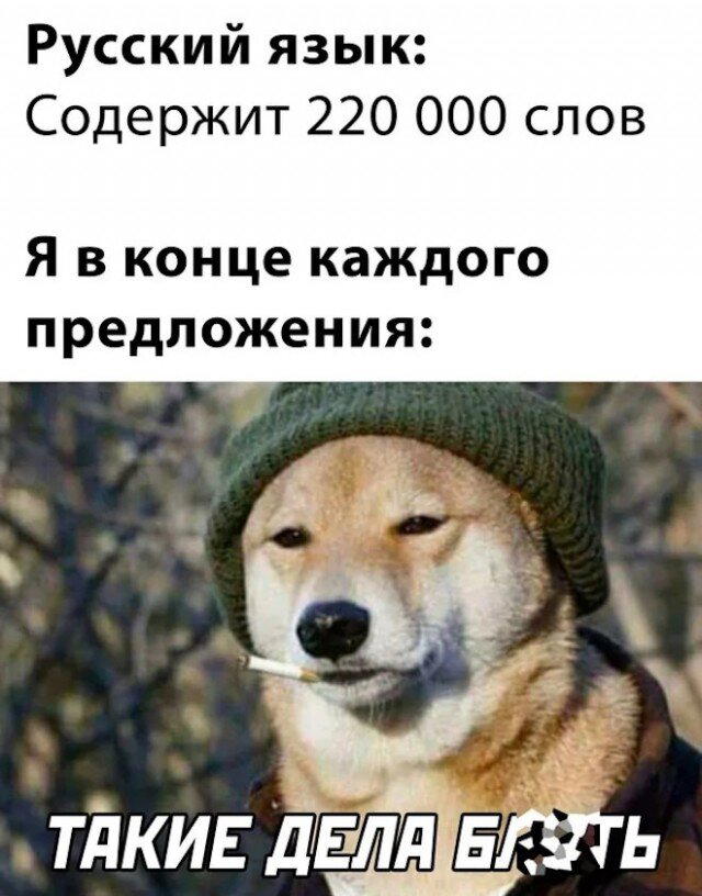 Дички в ночь.