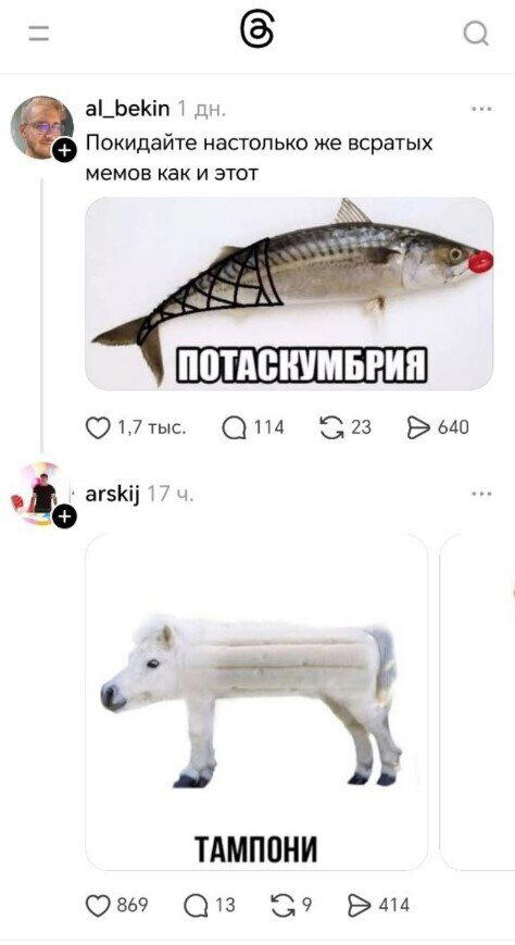 Дички в ночь.
