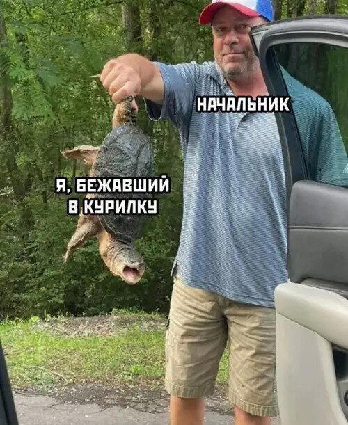Дички в ночь.