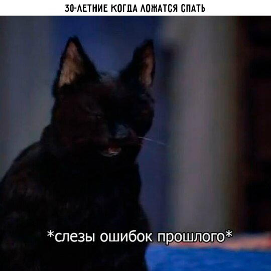 Дички в ночь.