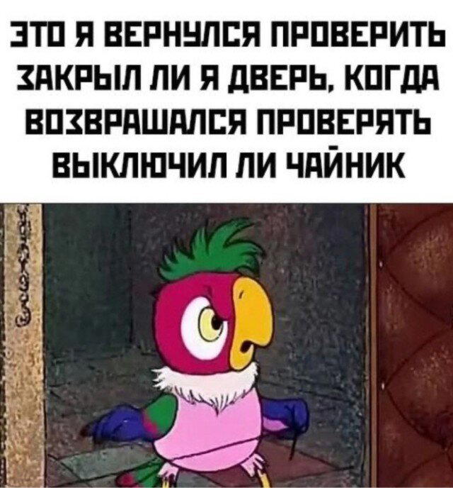 Дички в ночь.