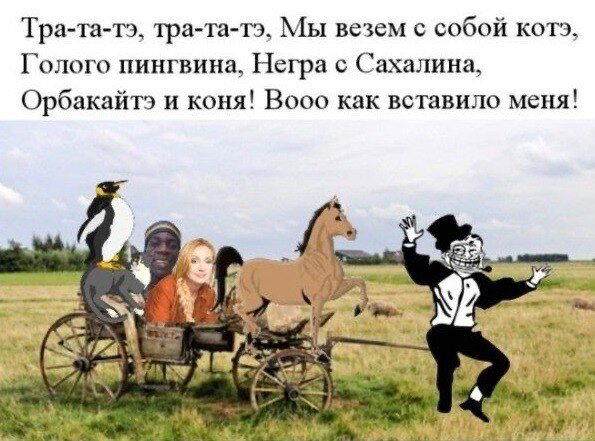 Дички в ночь.