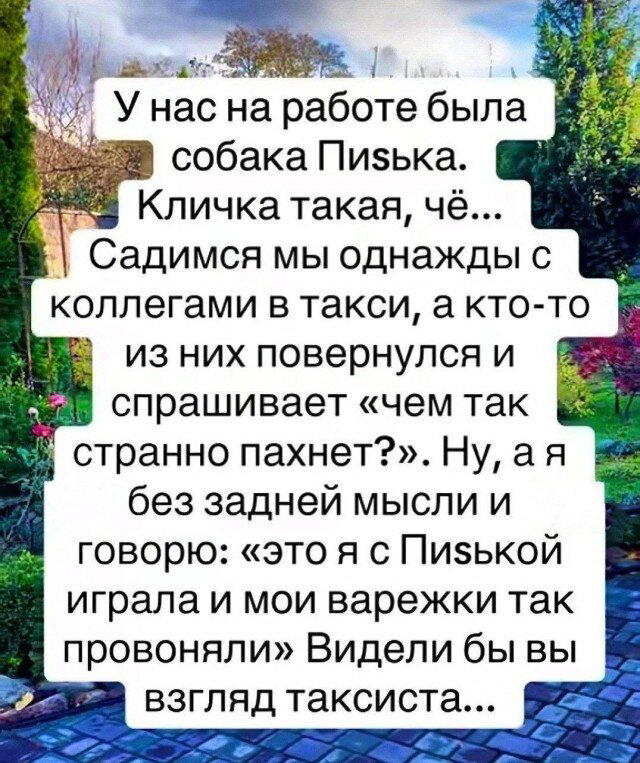 Дички в утро догоняйка