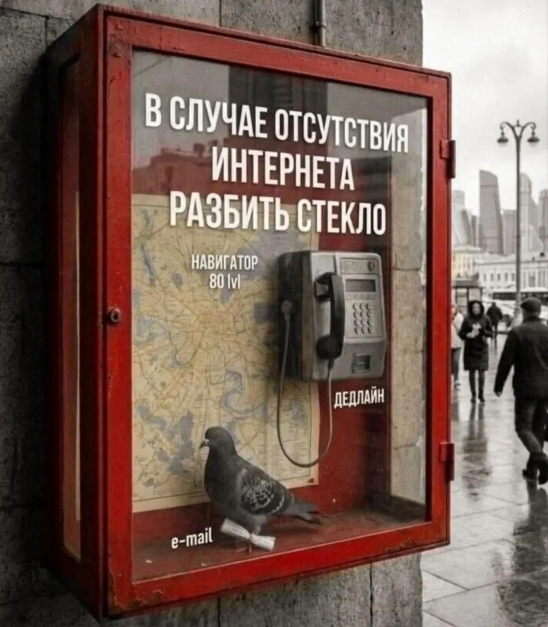 Дички в утро догоняйка