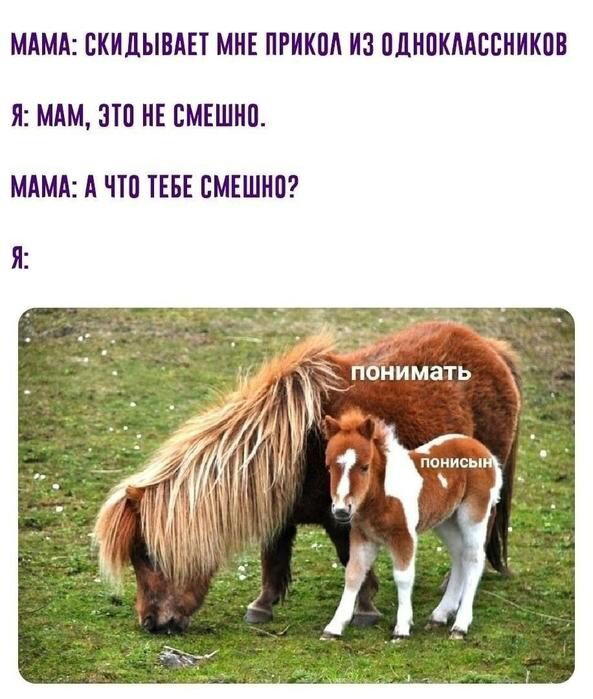 Дички в утро догоняйка