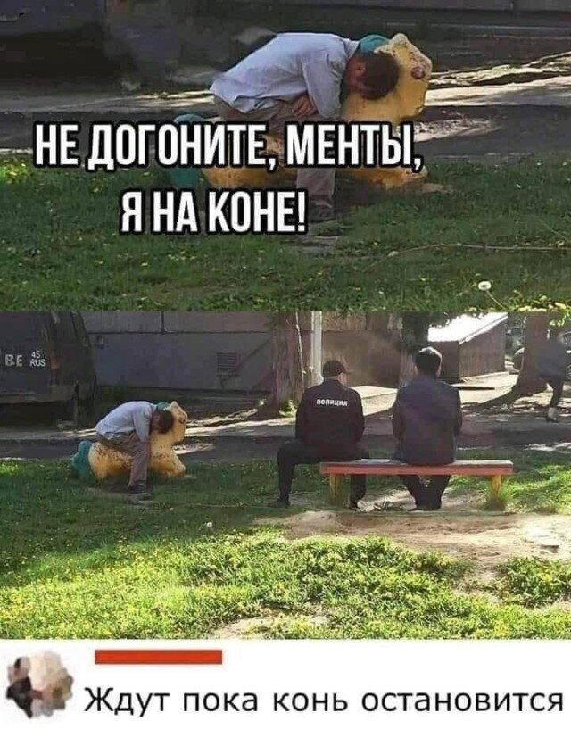 Дички в утро догоняйка