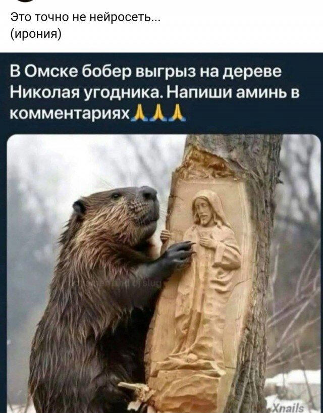 Дички в утро догоняйка