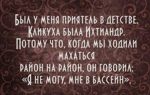 Дички в утро догоняйка