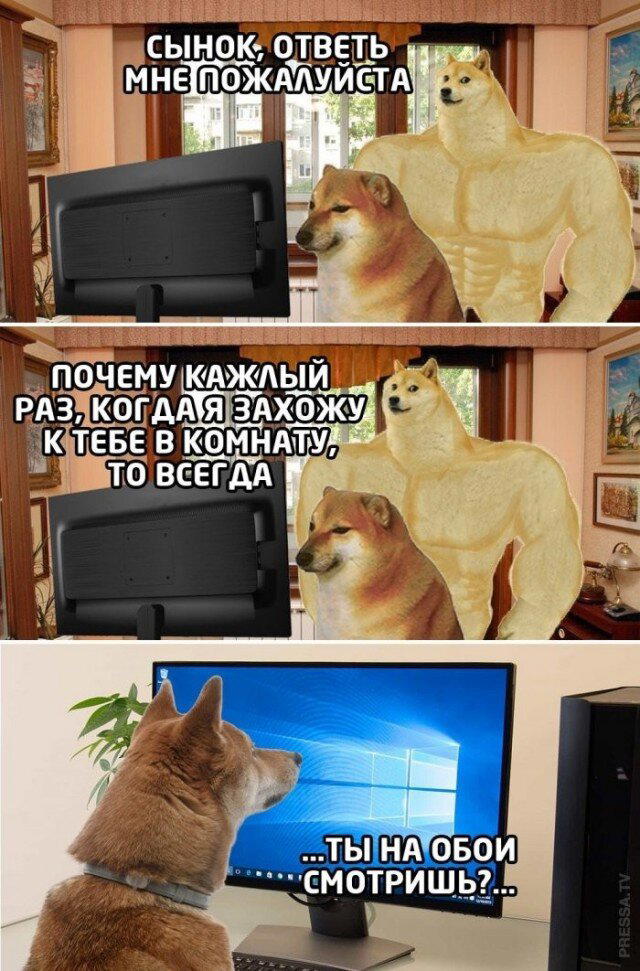 Дички в утро догоняйка