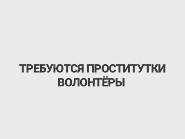 Дички в утро догоняйка