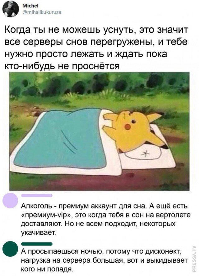 Дички в утро догоняйка