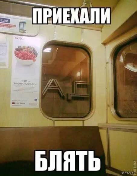 Дички в утро догоняйка