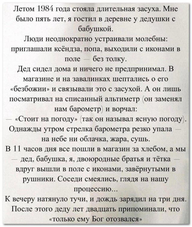 Дички в утро догоняйка