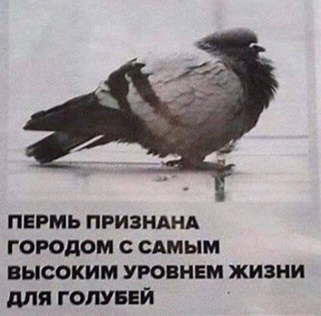 Дичкина радость, дичкина сладость