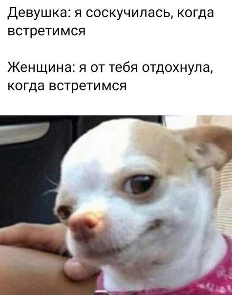 Дичкина радость, дичкина сладость