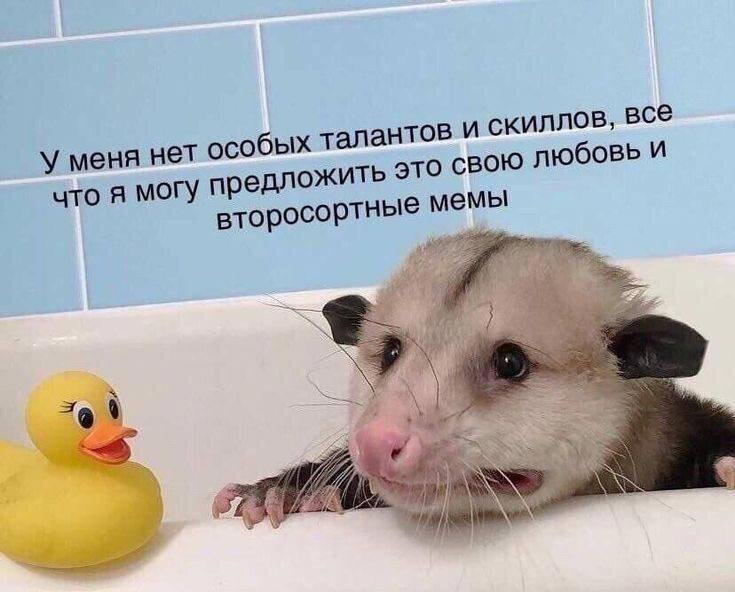 Дичкина радость, дичкина сладость