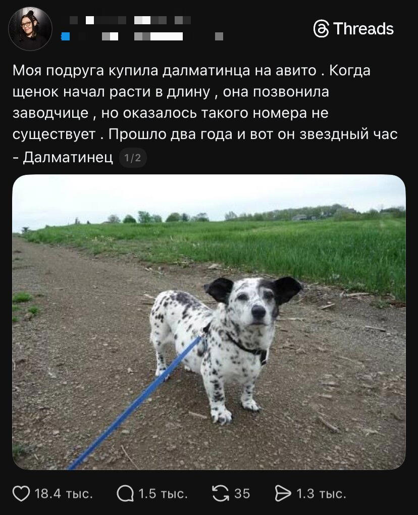 Дичка с утра улучшает аппетит