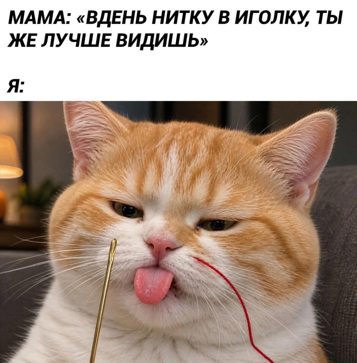 Дичка с утра улучшает аппетит