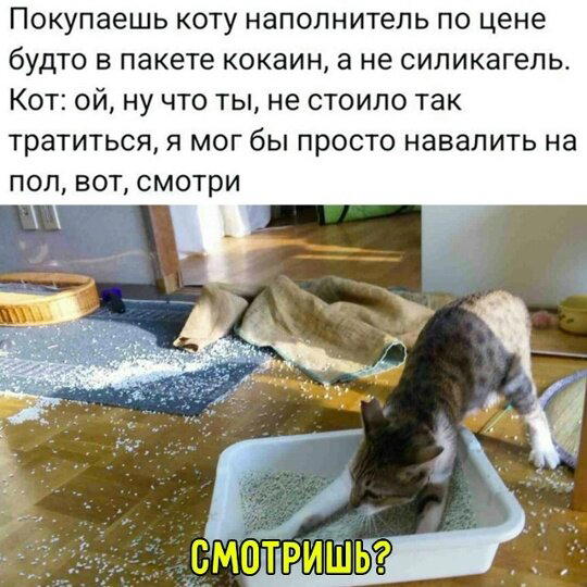 Дичка с утра улучшает аппетит