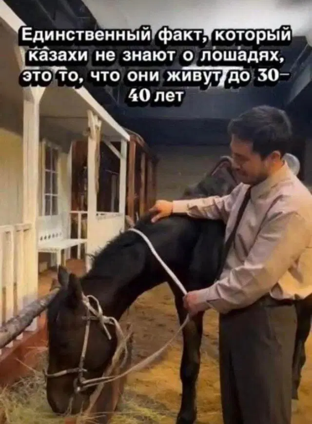 Дичка с утра улучшает аппетит