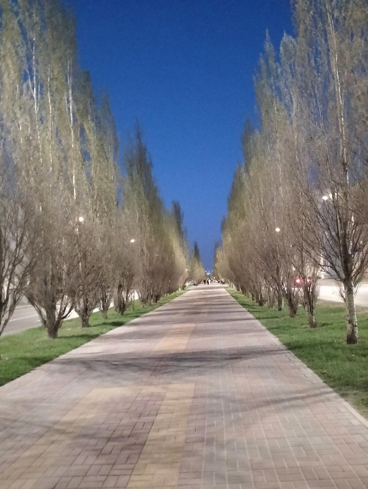 Город Барнаул