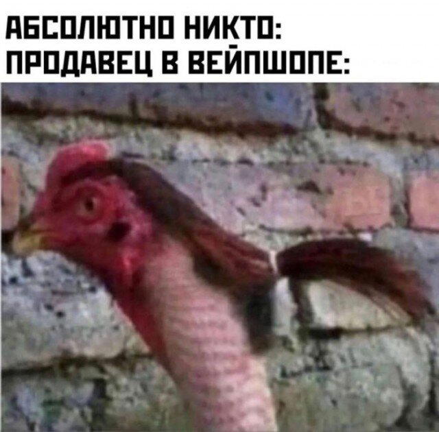 Дичи личного дня!