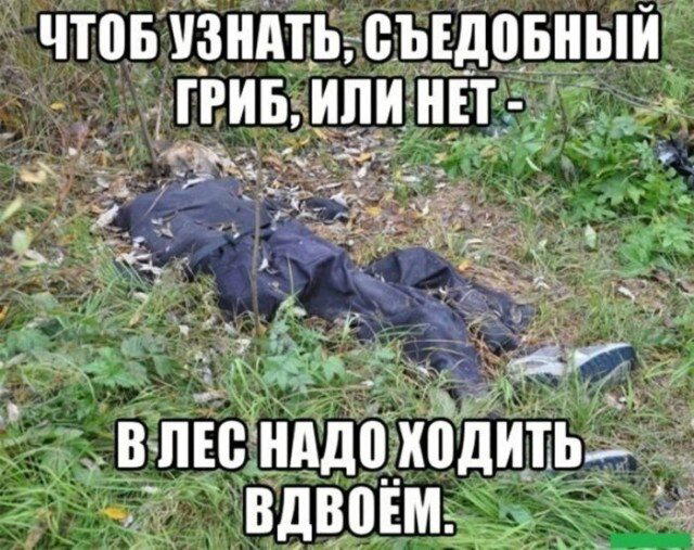 Дичи личного дня!