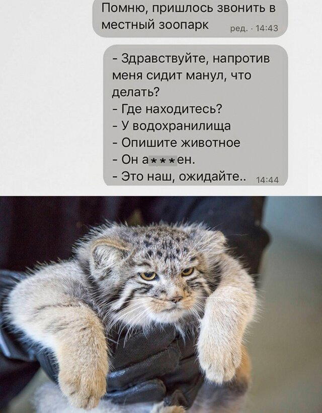 Дичку и на завтра тоже сразу загрузим