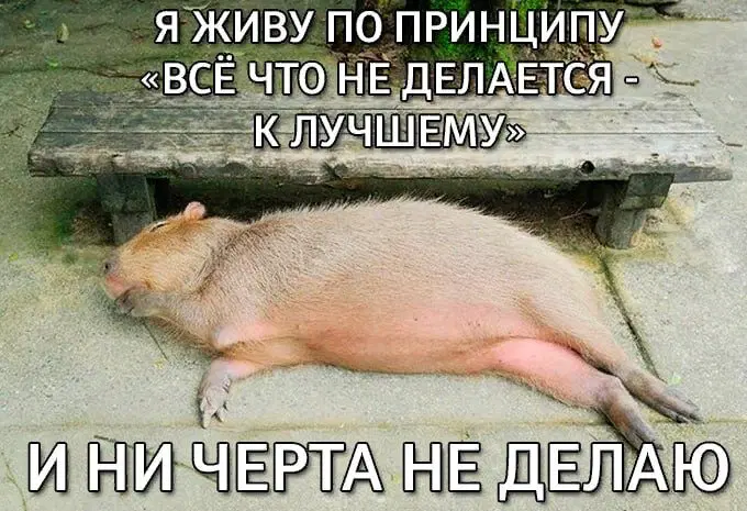 Дичку и на завтра тоже сразу загрузим
