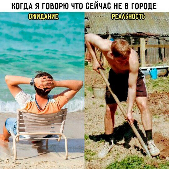 Дичку и на завтра тоже сразу загрузим