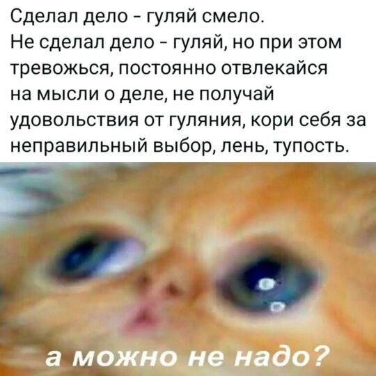 Дичку и на завтра тоже сразу загрузим