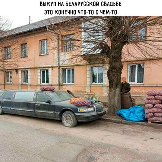 Дичку и на завтра тоже сразу загрузим