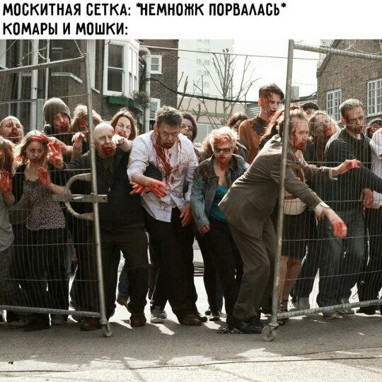 Дичку и на завтра тоже сразу загрузим