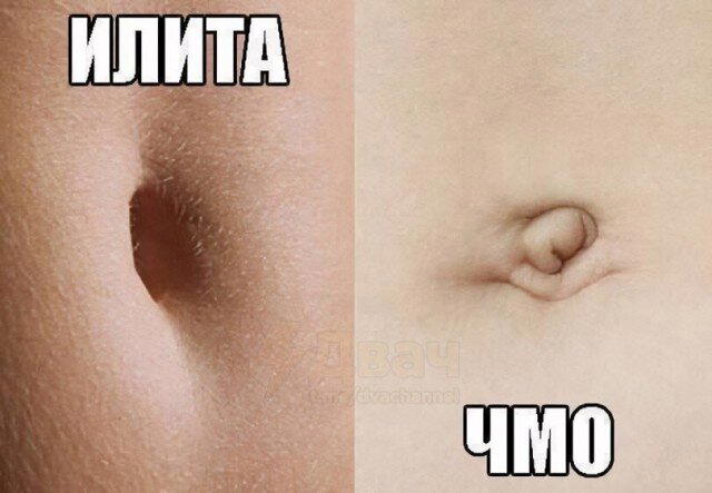 Дичку и на завтра тоже сразу загрузим