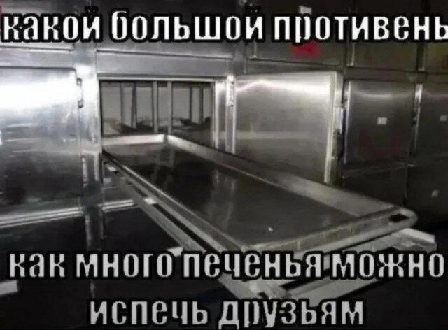 Дичку и на завтра тоже сразу загрузим