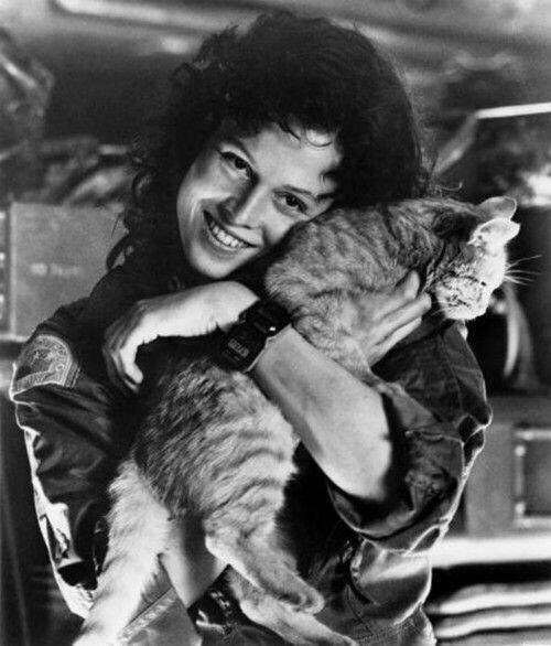 Сигурни Уивер с котейкой на съемках фильма "Чужой", 1979 год.
