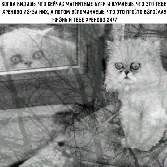 Дичка с утра открывает глаза