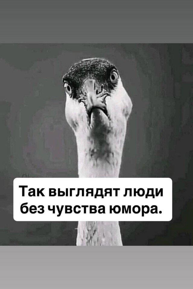 Дичка с утра открывает глаза