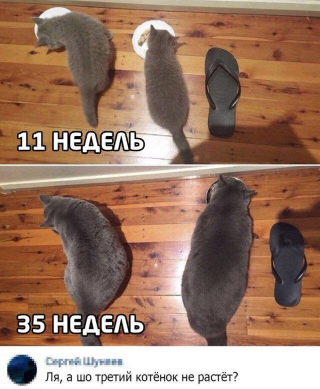 Дичка с утра открывает глаза