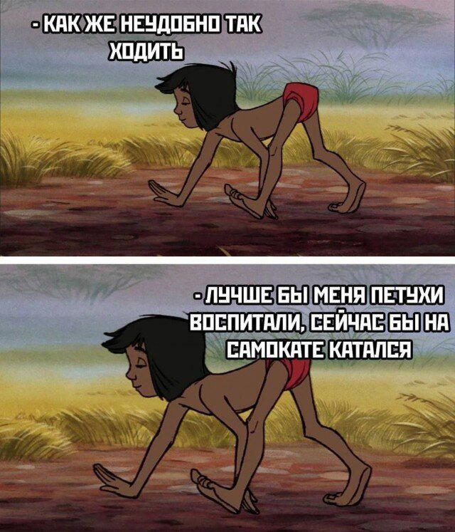 Дичка с утра открывает глаза