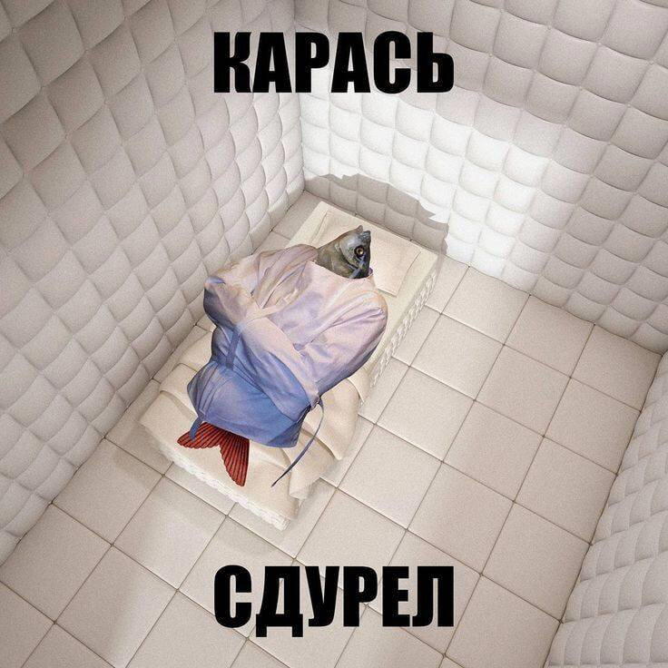 Дичкиного дня всем от меня