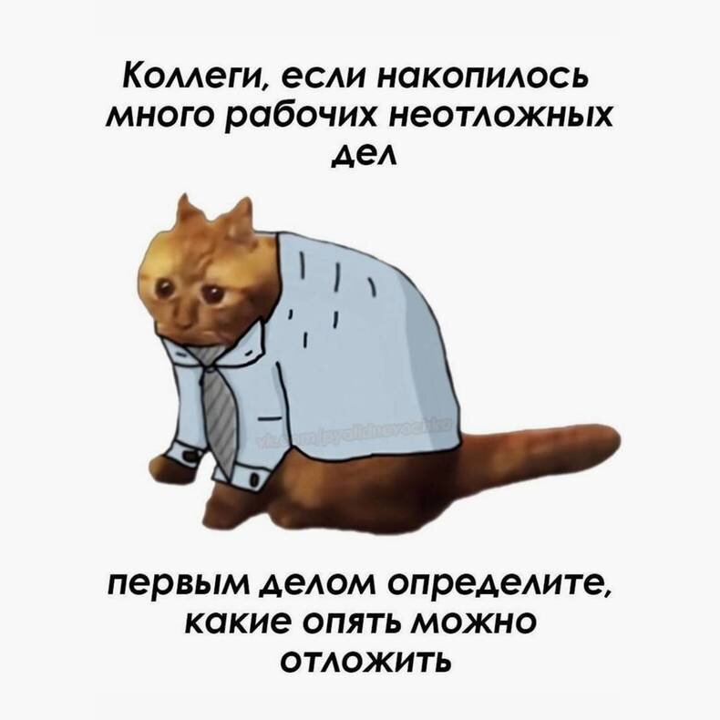 Дичкиного дня всем от меня